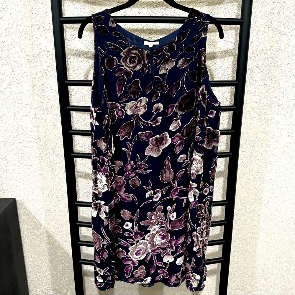 Mystree Velvet Mini Dress